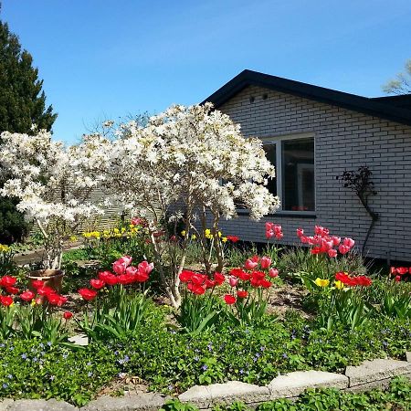 Mini-Apartment In The Flowerbed Søborg Exterior foto